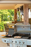Cast Iron Pizza / Baking / Cookie Pan